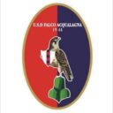 falco