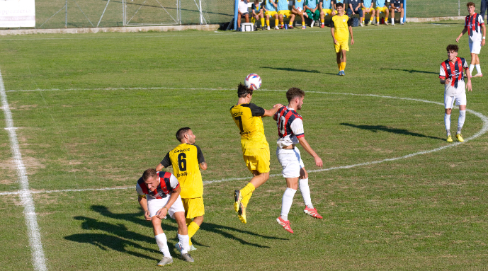 gabicce gradara giallo